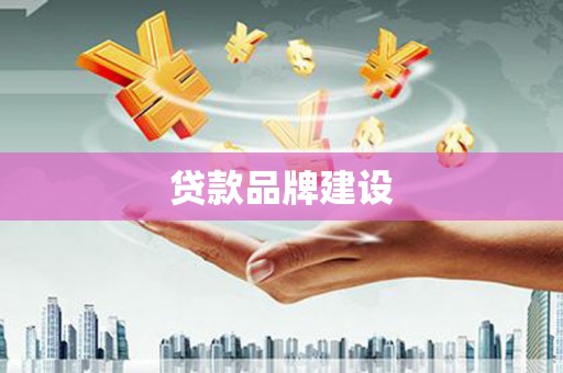 安仁贷款品牌建设