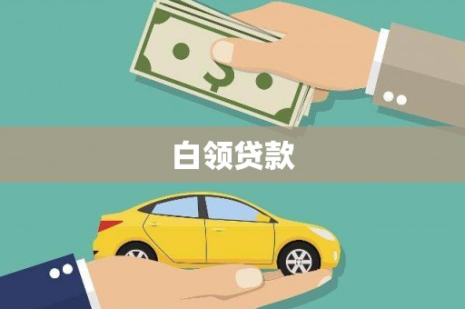 甲仙白领贷款