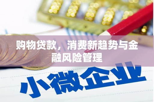 大东购物贷款，消费新趋势与金融风险管理