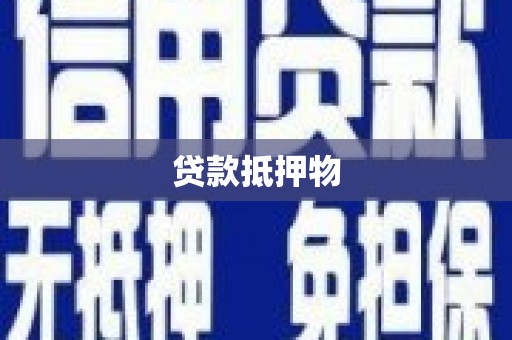 康保贷款抵押物