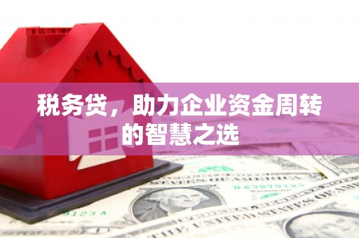 富川税务贷，助力企业资金周转的智慧之选