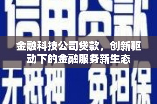 沙雅金融科技公司贷款，创新驱动下的金融服务新生态