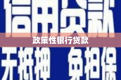 襄阳政策性银行贷款