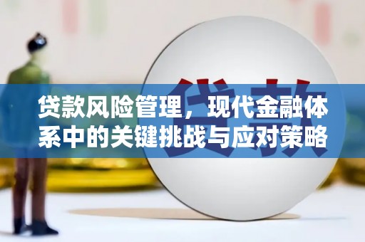临猗贷款风险管理，现代金融体系中的关键挑战与应对策略