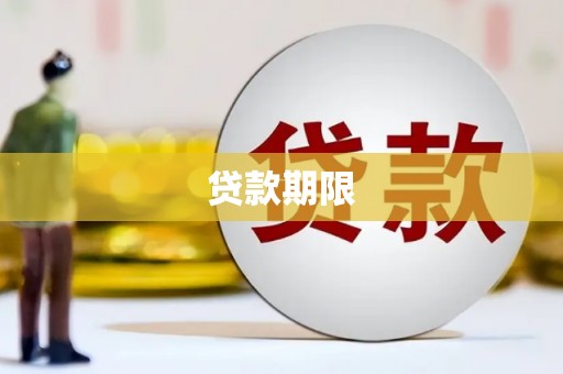 云龙贷款期限