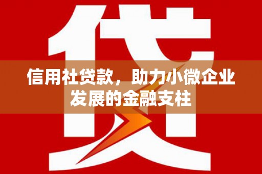 太白信用社贷款，助力小微企业发展的金融支柱