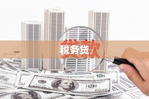 普宁税务贷