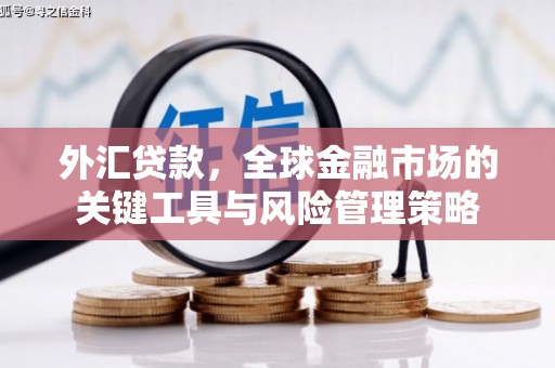 青白江外汇贷款，全球金融市场的关键工具与风险管理策略