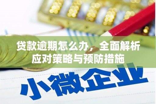 锡林浩特贷款逾期怎么办，全面解析应对策略与预防措施