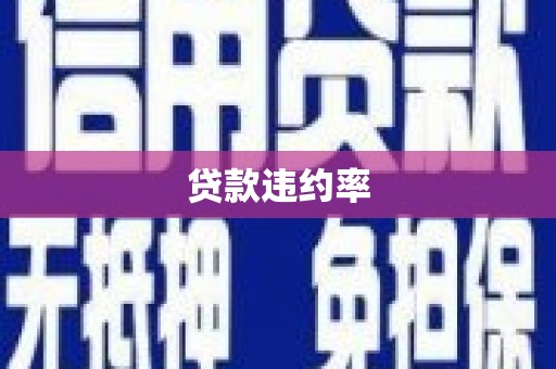 呼玛贷款违约率