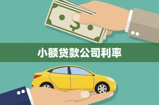 源汇小额贷款公司利率