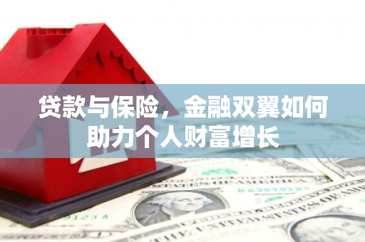 阜沙贷款与保险，金融双翼如何助力个人财富增长