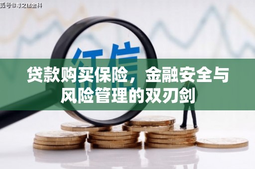 全椒贷款购买保险，金融安全与风险管理的双刃剑
