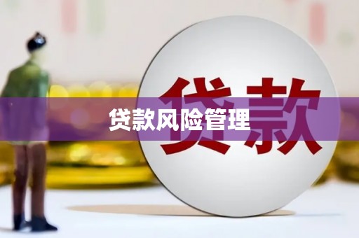 淮上贷款风险管理