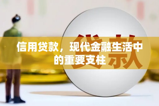琼中信用贷款，现代金融生活中的重要支柱