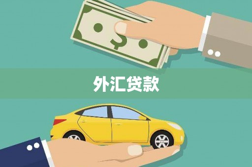 双柏外汇贷款