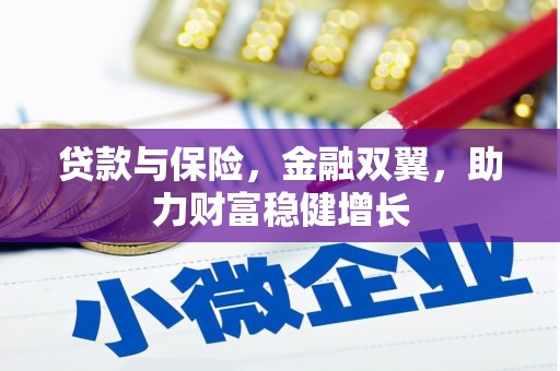 隆子贷款与保险，金融双翼，助力财富稳健增长