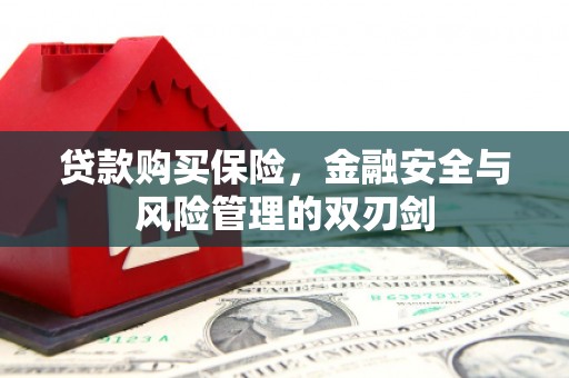 台南贷款购买保险，金融安全与风险管理的双刃剑