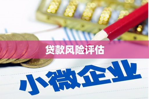 海宁贷款风险评估