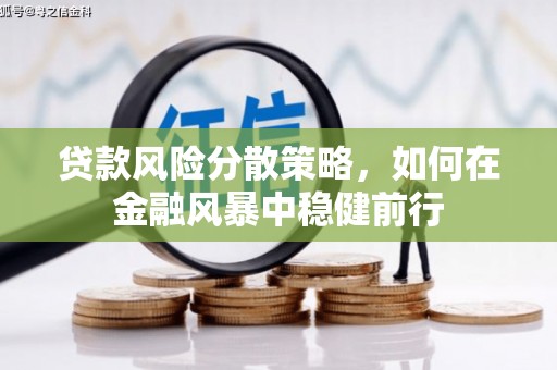 昭化贷款风险分散策略，如何在金融风暴中稳健前行