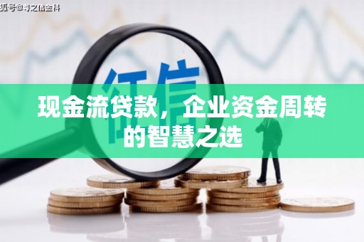 沈丘现金流贷款，企业资金周转的智慧之选
