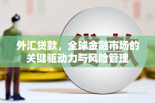 兴山外汇贷款，全球金融市场的关键驱动力与风险管理