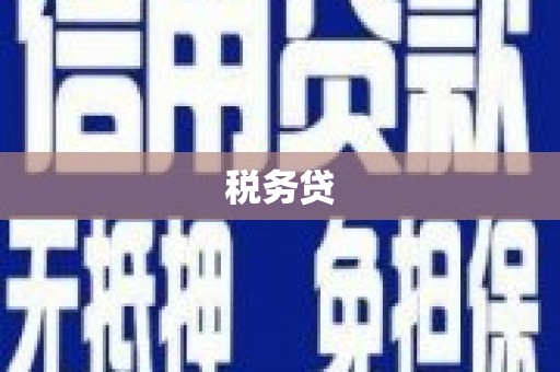 濮阳税务贷