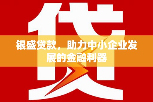 贵定银盛贷款，助力中小企业发展的金融利器