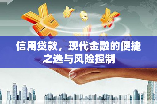 民雄信用贷款，现代金融的便捷之选与风险控制