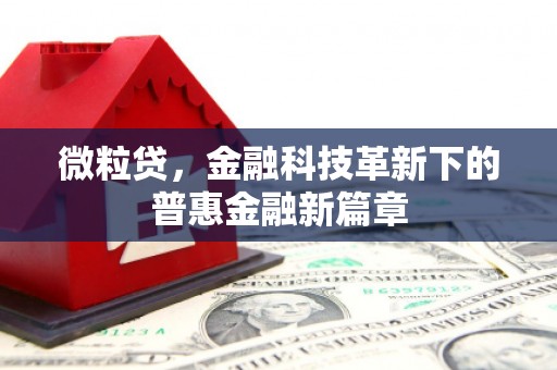 乡城微粒贷，金融科技革新下的普惠金融新篇章