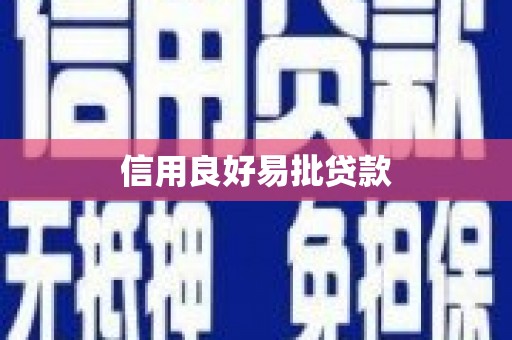 海兴信用良好易批贷款