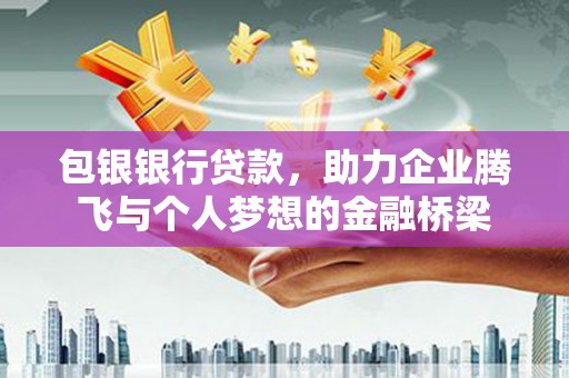 龙文包银银行贷款，助力企业腾飞与个人梦想的金融桥梁