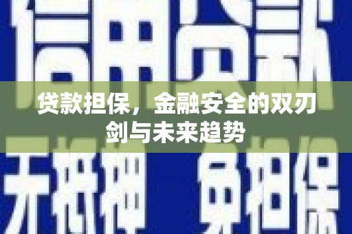 陇川贷款担保，金融安全的双刃剑与未来趋势