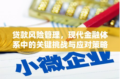 罗城贷款风险管理，现代金融体系中的关键挑战与应对策略