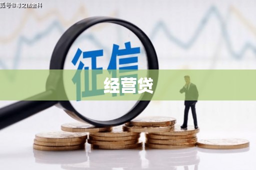 舞钢经营贷
