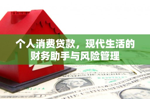 大溪个人消费贷款，现代生活的财务助手与风险管理