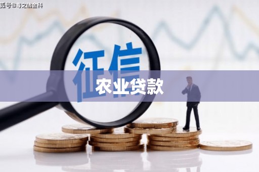 钟祥农业贷款