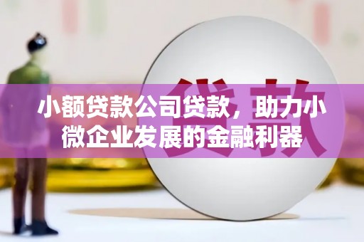 秀林小额贷款公司贷款，助力小微企业发展的金融利器