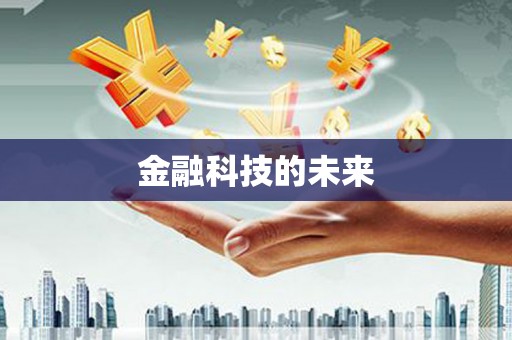 雷州金融科技的未来