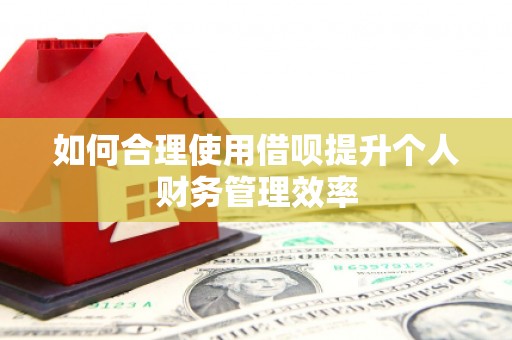 习水如何合理使用借呗提升个人财务管理效率