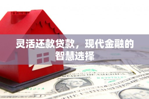 宁晋灵活还款贷款，现代金融的智慧选择