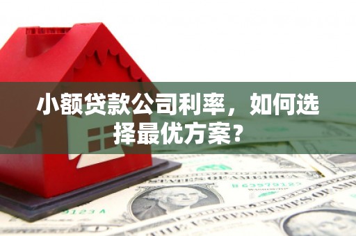 吴中小额贷款公司利率，如何选择最优方案？