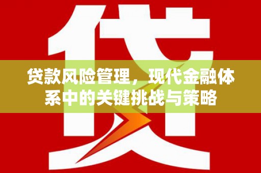 中区贷款风险管理，现代金融体系中的关键挑战与策略