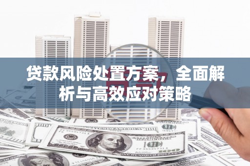 伊吾贷款风险处置方案，全面解析与高效应对策略