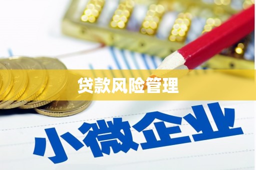 伊犁哈萨克贷款风险管理