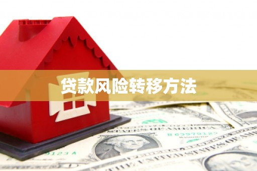 麟洛贷款风险转移方法