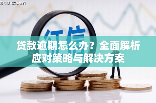 介休贷款逾期怎么办？全面解析应对策略与解决方案
