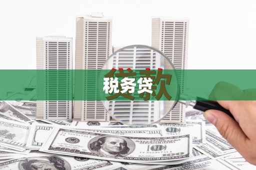 波密税务贷