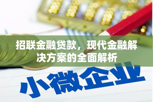 云林招联金融贷款，现代金融解决方案的全面解析