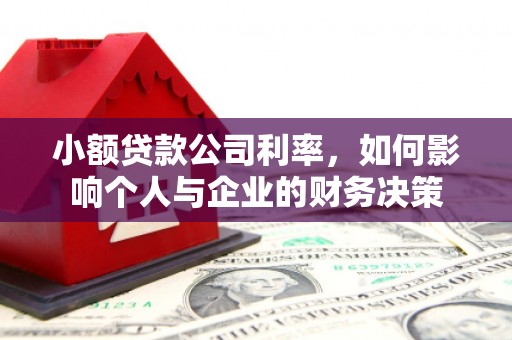 南县小额贷款公司利率，如何影响个人与企业的财务决策